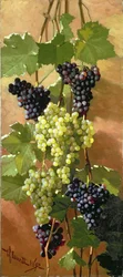 Raisins, 1897